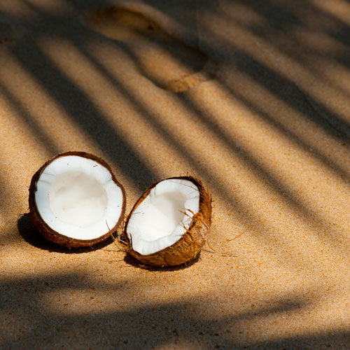Coconut: Something to Be Nuts About?