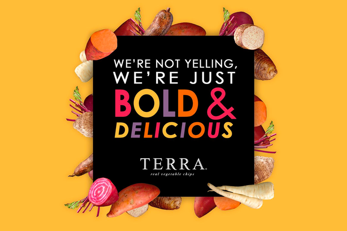 Terra Chips: The Perfect Snack for Health-Conscious Foodies
