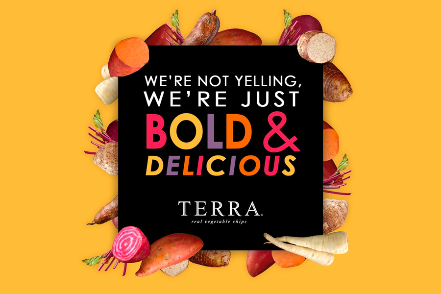 Terra Chips: The Perfect Snack for Health-Conscious Foodies