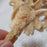 Morsels Cheesy Jalapeño Mushroom Chips 50g