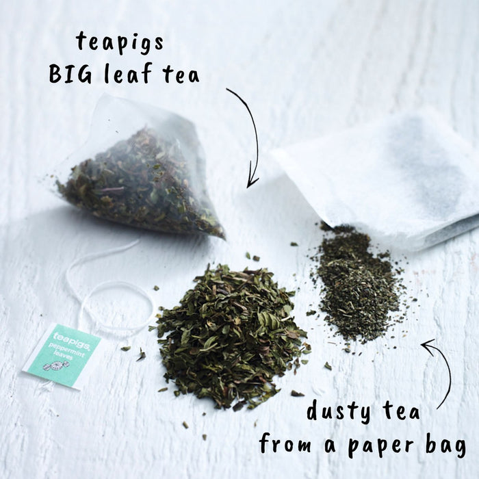 Teapigs Peppermint Leaves Tea 30g/15 tea temples (Caffeine Free, Gluten Free, Vegan)